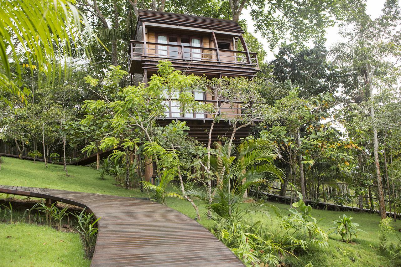 Mirante Do Gaviao Amazon Lodge Novo Airão Eksteriør bilde